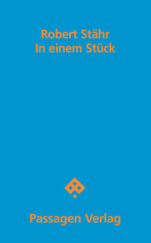 Der kapitellose Prosatext begegnet der Omnipräsenz von Konsum und Warenästhetik mit einem Sprachfluss aus Innerem Monolog, simulierter Montage und Erzählfragmenten. Beschleunigung und Entschleunigung, affirmative und subversive Strategien fließen im Text ineinander. Der Ich-Erzähler geht durch die Straßen seiner Stadt, um Besorgungen zu machen. Schritt für Schritt okkupiert die Welt des Konsums Sprache und Bewusstsein des Protagonisten