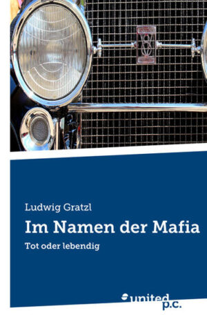 Zwei Morde, wo die sterblichen Überreste in jeweils eine Kühltruhe versteckt und eingemauert wurden, führen die Polizei zu einer Hauptverdächtigen, welche geflüchtet ist. Als sie verhaftet wird, macht sie sich durch ihr Schweigen noch tatverdächtiger, verspricht aber nach der Geburt ihres Kindes alles zu berichten. Bald stellt sich heraus, dass auch die Mafia im Spiel ist und die Landesnervenklinik Gugging bietet der Verdächtigen ein Zuhause. Im Laufe der Zeit decken die Polizisten in zwei Lokalen Drogenhandel und Geldwäsche auf, sowie zwei weitere Morde. Ein alter Mafioso vertraut sich der Polizei an, aus Angst um sein Leben.