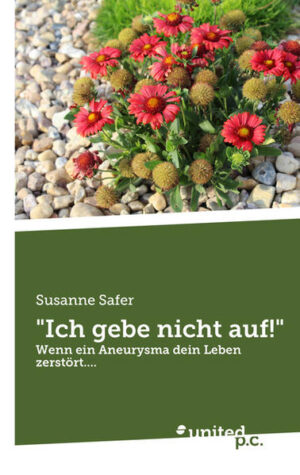 Einundvierzigjährige glückliche Ehefrau und Mutter von zwei Söhnen erleidet ein Aneurysma, das sie schlagartig aus ihrem bisherigen Leben reißt! Warum trifft es gerade sie? Warum überlebt ausgerechnet sie diese lebensbedrohliche Gehirnblutung? Was wartet in ihrem Leben noch auf sie?Lohnt sich ihr täglicher harter Kampf zurück in ihr altes Leben überhaupt noch, wo sich alles so verändert hat?