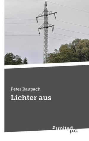 Mitten in der Nacht ist Südbayern plötzlich ohne Strom. Ein Mast der Überlandleitung ist der Nähe des Starnberger Sees wurde angesägt und ist umgestürzt. Neben den Trümmern findet die Feuerwehr einen im Lichtbogen verkohlten Leichnam. Die Hauptkommissare Wille und Pfleger von der Mordkommission München müssen die Hintergründe dieser Ereignisse aufklären. Daneben sollen sie dem Polizeiposten helfen, einen Einbruch in ein Museum am See und den Diebstahl wertvoller Gemälde zu untersuchen. Gibt es einen Zusammenhang zwischen diesen beiden Ereignissen?