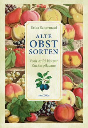 Obstliebhaber aufgepasst! Hier werden nicht Äpfel mit Birnen verglichen, sondern viele alte Obstsorten ganz neu entdeckt. Erika Schermaul blickt auf die lange Geschichte des Obstes in aller Welt und unterschiedlichste Verwendungsweisen, zeigt die Bedeutung in Mythologie, Volksglaube und Brauchtum. Roter Herbstkalvill, Gelber Heinrich, Blut- und Engelsbirne, Königin Hortense, Große Grüne Reneklode oder Graue Zibebe - wie herrlich das klingt und wie lecker das schmeckt! Mit wunderschönen alten Bildern und köstlichen Rezepten kommt hier ein Buch der ganz besonderen Art auf den Tisch!