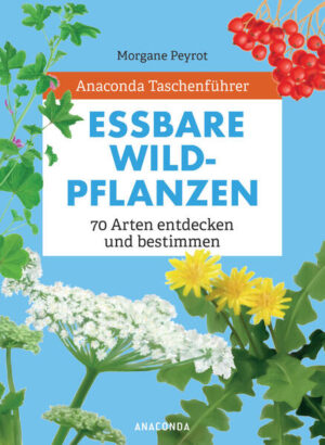 Der Anaconda Taschenführer »Essbare Wildpflanzen« ist der ideale Begleiter durch die heimische Flora. Das praktische Bestimmungsbuch informiert in fachkundigen, übersichtlichen Steckbriefen über Aussehen, Standort, Erntezeit, Verzehrmethoden und ernährungsphysiologische Eigenschaften von 70 essbaren Wildpflanzen. Jedes Porträt ist mit einer detaillierten Zeichnung versehen, sodass man die Pflanze im Handumdrehen auf Feld und Flur wiedererkennen kann. Ausstattung: durchgehend farbig illustriert