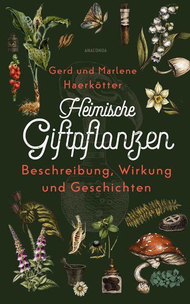 Ob Wüterich, Hexenmilch oder Schwarzer Nachtschatten so manches Gewächs lässt schon beim Namen aufhorchen und Vorsicht walten. Gerd und Marlene Haerkötter haben die heimischen Giftpflanzen unter die Lupe genommen und verraten in über 60 ausführlichen Porträts alles über Vorkommen, Aussehen, toxische Wirkung, ihre Anwendung in der Heilkunde und für den Fall der Fälle Erste- Hilfe- Maßnahmen. Zahlreiche schaurig- schöne Geschichten und viel Geschichtliches über heimtückische Giftmischer, verschrobene Zauberer und wohlwollende Heiler runden diesen informativen wie unterhaltsamen Führer durch die heimische Giftpflanzenflora ab. Mit zahlreichen s/w- Illustrationen aus alten Heilpflanzenbüchern. Wüterich, Hexenmilch & Schwarzer Nachtschatten Ein informativer, umfangreicher und unterhaltsamer Führer durch die heimische Giftpflanzen Die Neuausgabe des Standardwerks vom Eichborn Verlag Ausstattung: mit zahlreichen S/w- Illustrationen