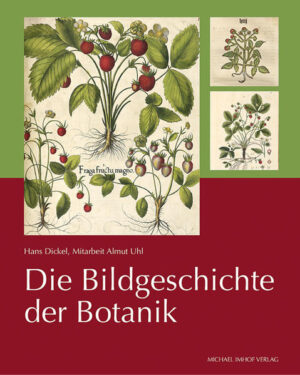 Die Bildgeschichte der Botanik | Bundesamt für magische Wesen