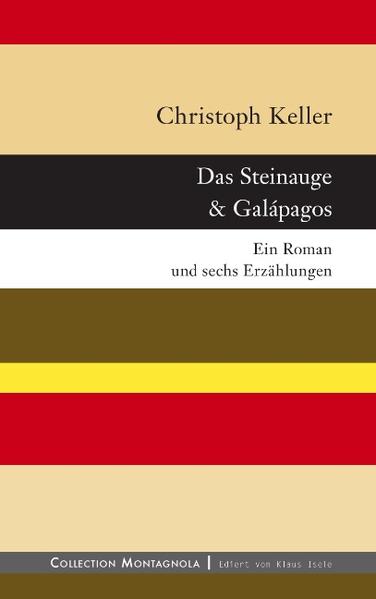 Ein kombiniertes Roman- und Erzählungsprojekt von hoher Ambition zum Thema der Erinnerung bzw. der falschen Erinnerung.