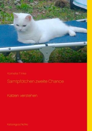 Für Katzen - Freunde Eine zu Herzen gehende Geschichte, von einem Kätzchen in Not, durch die Tierliebe eines lieben Menschen wurde das kleine Kätzchen gerettet. Mit Liebe, Fürsorge und Verständnis, eroberte Wally des kleinen Kätzchens Herz. Das Leben für beide veränderte sich, einer kann nicht mehr ohne den anderen. Das Kätzchen hat die Freude und das Lachen zurück gebracht in Wallys Leben. 12 Farbfotos http:/ leuchtstern-finke.de