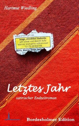 'Letztes Jahr' erzählt die abenteuerliche Geschichte eines lebenslustigen Selbstmörders, der sich noch ein paar schöne Tage machen möchte, den Plan hat, sich ein Freudenmädchen zu mieten, mit ihr zusammen eine Abschiedsreise zu seinen besten Freunden zu machen, am Ende ein grandioses Abschlussfest mit ihnen zu feiern und schließlich … aber das soll der Leser selbst herausfinden.