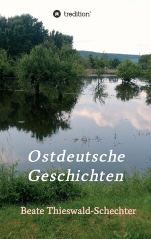 Sie stehen vor einer Veränderung und müssen sich entscheiden. In drei Erzählungen ist es der Mut der Protagonisten, etwas Ungewöhnliches zu tun, etwas, von dem sie nicht wissen, wie es aus geht und mit dem sie etwas riskieren. Die Geschichten, die sich zu Beginn, in der Mitte und zum Ende der DDR-Zeit ereignen, beruhen auf authentischen Erlebnissen und stammen aus der Familiengeschichte der Autorin. Zur Freude der Kinder bekommt Anna 1949 vom Hilfswerk eine Mutter-Kind-Kur an der Ostsee. Doch nach wenigen Tagen träumt sie von ihrem Mann, der seit sechs Jahren in sibirischer Kriegsgefangenschaft ist. „Der Traum“ scheint ihr eine Entscheidung abzuverlangen, die sich gegen jede Vernunft richtet. Zur „Musterung“ muss Hans im Sommer 1964. Er beschließt, den Wehrdienst total zu verweigern. Doch auch noch jemand anderes geht ein politisches Risiko ein. Ein Lebensthema wird für Hans deutlicher. Es wird ihn nicht mehr verlassen. Robert und Gabriele sind eines der vielen jungen Paare, die sich im Sommer 1989 entschließen, „Über Ungarn weg“ zu gehen. Sie wissen nicht genau, was sie erwartet. Sie wissen nur, was sie verlieren: Heimat, Familie und, wer weiß, vielleicht sogar das Leben. Trotzdem packen sie ihre Sachen, getrieben von Resignation in Bezug auf das eine und von Hoffnung in Bezug auf das andere Deutschland.