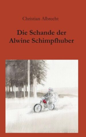 Im katholisch-konservativen Oberösterreich der 1960er Jahre wird die minderjährige Alwine Schimpfhuber Opfer einer Vergewaltigung. Weite Teile der Dorfbevölkerung geben ihr die Schuld, sie wird geächtet, vom Priester wird sie aus dem Religionsunterricht ausgeschlossen. Der Täter indes beichtet seine Untat gemäß dem Gebot des katholischen Glaubens seinem Dorfpfarrer, dieser gibt das ihm Anvertraute im trunkenen Halbschlaf preis. Seine Haushälterin, welche die gegrummelten Wortfetzen wohl zu deuten weiß, befindet sich in einer argen Gewissensnot. Sollte sie ihren gütigen Pfarrer bloßstellen? Alwine, die zu allem Ungemach schwanger ist, will fort aus ihrem Heimatdorf und bedrängt ihre Mutter, die sich an den jüdischen KZ-Flüchtling Alon Brunstein erinnert, der gegen Ende des Zweiten Weltkrieges von ihrer Familie vor den braunen Häschern versteckt worden war. Schweren Herzens plant sie die Umsiedlung ihrer Tochter nach Zürich, wo der einstige Kriegsgefangene in einer prunkvollen Villa am Zürichsee lebt. In der Schweiz lernt Alwine Köbi Tschopp, den Spross einer Zürcher Hoteliersfamilie, kennen. Kann sie doch noch glücklich werden und die schreckliche Vergangenheit ruhen lassen? Eine vergessene Schachtel, in der sich ein Dutzend Briefe von Alwines Mutter befinden, führen ihre Tochter Tikva auf die Spur ihrer wahren Herkunft. Alsbald fährt sie in die Steiermark, um ihren Vater zu finden. Eine tragische Familiengeschichte über drei Generationen, die mit eigenwilligen Charakteren und auch heiteren Aspekten aufzeigt, dass der Wunsch nach Rache nur selten versiegt.