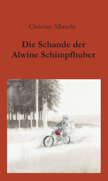 Im katholisch-konservativen Oberösterreich der 1960er Jahre wird die minderjährige Alwine Schimpfhuber Opfer einer Vergewaltigung. Weite Teile der Dorfbevölkerung geben ihr die Schuld, sie wird geächtet, vom Priester wird sie aus dem Religionsunterricht ausgeschlossen. Der Täter indes beichtet seine Untat gemäß dem Gebot des katholischen Glaubens seinem Dorfpfarrer, dieser gibt das ihm Anvertraute im trunkenen Halbschlaf preis. Seine Haushälterin, welche die gegrummelten Wortfetzen wohl zu deuten weiß, befindet sich in einer argen Gewissensnot. Sollte sie ihren gütigen Pfarrer bloßstellen? Alwine, die zu allem Ungemach schwanger ist, will fort aus ihrem Heimatdorf und bedrängt ihre Mutter, die sich an den jüdischen KZ-Flüchtling Alon Brunstein erinnert, der gegen Ende des Zweiten Weltkrieges von ihrer Familie vor den braunen Häschern versteckt worden war. Schweren Herzens plant sie die Umsiedlung ihrer Tochter nach Zürich, wo der einstige Kriegsgefangene in einer prunkvollen Villa am Zürichsee lebt. In der Schweiz lernt Alwine Köbi Tschopp, den Spross einer Zürcher Hoteliersfamilie, kennen. Kann sie doch noch glücklich werden und die schreckliche Vergangenheit ruhen lassen? Eine vergessene Schachtel, in der sich ein Dutzend Briefe von Alwines Mutter befinden, führen ihre Tochter Tikva auf die Spur ihrer wahren Herkunft. Alsbald fährt sie in die Steiermark, um ihren Vater zu finden. Eine tragische Familiengeschichte über drei Generationen, die mit eigenwilligen Charakteren und auch heiteren Aspekten aufzeigt, dass der Wunsch nach Rache nur selten versiegt.