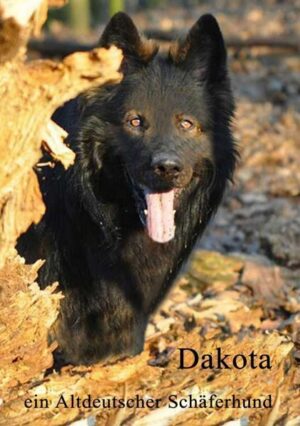 Dakota | Bundesamt für magische Wesen