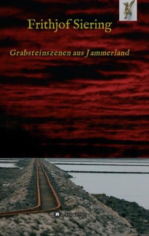 Das Buch setzt sich mit der Frage auseinander „Ist dem vermeintlichen Schöpfer des Menschen dieser entglitten oder ist für die Menschen der Schöpfer die moralische Ausrede?“ Eine der Hauptpersonen dieses Romans ist der Besucher. Er kommt nach seinem Tod auf die Erde zurück, auf der ihm in seinem kurzen Leben viel Leid zugefügt wurde. Der Schöpfer gibt ihm die Chance sich Jemanden auf der Welt zu suchen, der sich seinem Fall annehmen soll, um die Schuldigen vor Gericht zu bringen. Er wendet sich an die zweite Hauptperson des Romans, den Erzähler, der zuerst nicht glaubt was er zu hören bekommt. Er sieht den jungen Menschen kurz beim ersten Mal, anschließend taucht seine Stimme immer wieder auf und liefert ihm Details zu den Personen, die ihm im Folgenden begegnen. Allesamt hatten etwas mit dem Verbrechen an dem Jungen zu tun. So begegnet er einem Polizisten, einem Arzt, der sich hinter einer Zeitung versteckt, der Mutter des Jungen, einem Schachspieler und erfährt von dem Tod des Vaters, wodurch der Junge letztlich befreit werden konnte und doch nur weitergereicht wurde. Jeder Einzelne rechtfertigt sein Handeln mit den jeweiligen Gegebenheiten des Alltags, eigene Schuld wird nur widerwillig akzeptiert. Nachdem der Erzähler immer mehr an die Wahrheit der Geschichte glaubt, kann er sich doch nicht zu einem aktiven Handeln durchringen. Da nimmt der Junge, auf teils sehr grausame Weise, Rache an seinen Peinigern. Der Erzähler ist entsetzt, wird dann selber zum Täter und verzweifelt fast. Er verliebt sich in die Mutter des Jungen, deren Leben aber ebenso in Gefahr ist.