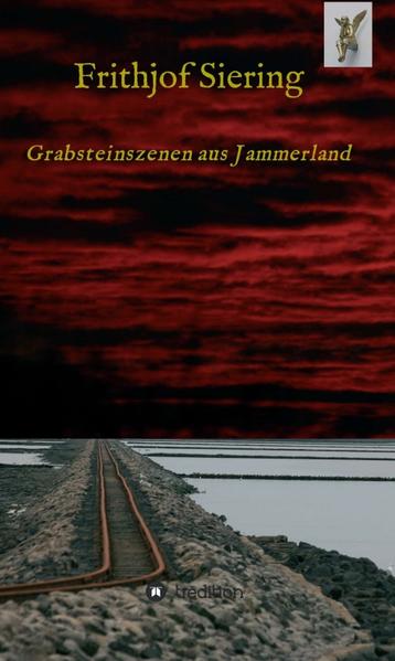 Das Buch setzt sich mit der Frage auseinander „Ist dem vermeintlichen Schöpfer des Menschen dieser entglitten oder ist für die Menschen der Schöpfer die moralische Ausrede?“ Eine der Hauptpersonen dieses Romans ist der Besucher. Er kommt nach seinem Tod auf die Erde zurück, auf der ihm in seinem kurzen Leben viel Leid zugefügt wurde. Der Schöpfer gibt ihm die Chance sich Jemanden auf der Welt zu suchen, der sich seinem Fall annehmen soll, um die Schuldigen vor Gericht zu bringen. Er wendet sich an die zweite Hauptperson des Romans, den Erzähler, der zuerst nicht glaubt was er zu hören bekommt. Er sieht den jungen Menschen kurz beim ersten Mal, anschließend taucht seine Stimme immer wieder auf und liefert ihm Details zu den Personen, die ihm im Folgenden begegnen. Allesamt hatten etwas mit dem Verbrechen an dem Jungen zu tun. So begegnet er einem Polizisten, einem Arzt, der sich hinter einer Zeitung versteckt, der Mutter des Jungen, einem Schachspieler und erfährt von dem Tod des Vaters, wodurch der Junge letztlich befreit werden konnte und doch nur weitergereicht wurde. Jeder Einzelne rechtfertigt sein Handeln mit den jeweiligen Gegebenheiten des Alltags, eigene Schuld wird nur widerwillig akzeptiert. Nachdem der Erzähler immer mehr an die Wahrheit der Geschichte glaubt, kann er sich doch nicht zu einem aktiven Handeln durchringen. Da nimmt der Junge, auf teils sehr grausame Weise, Rache an seinen Peinigern. Der Erzähler ist entsetzt, wird dann selber zum Täter und verzweifelt fast. Er verliebt sich in die Mutter des Jungen, deren Leben aber ebenso in Gefahr ist.