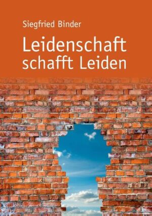 Was ist Leidenschaft? Ein emotionaler Zustand, der sich nur schwer mit dem Verstand steuern lässt... Diese Passion kann Leben verändern und auch das eigene oder das der anderen zerstören. In acht Erzählungen wird deutlich wie unterschiedlich Leidenschaft ausgelebt wird und Einfluss auf die Akteure und deren Lebensumstände hat.