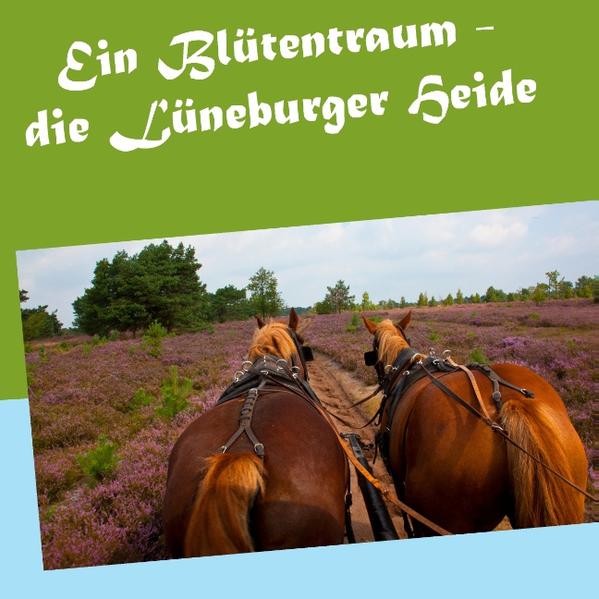 Im Naturpark Lüneburger Heide lassen sich Landschaft, Tier- und Pflanzenwelt noch weitgehend ungestört von Kraftfahrzeuglärm und Hochspannungsmasten genießen.