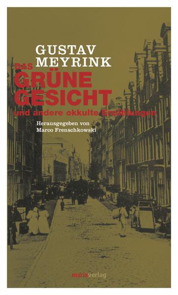 Im alten verwinkelten Amsterdam lernt der Ingenieur Fortunat Hauberrisser seine Seelenverwandte Eva kennen und mit ihr den Zugang zu einer Mystikergruppe, welcher immer wieder ein Grünes Gesicht erscheint. All das beginnt, als Hauberrisser den Vexiersalon des Chidher Grün, symbolische Figur des Ewig-Jungen, betritt. Während das Schicksal ihm seine Lebensgefährtin bald wieder entreißt, versucht er ihr auf einer anderen Bewusstseinsebene wieder zu begegnen und den Körper mit dem Geist zu überwinden. In der Figur des Fortunat Hauberrisser schildert Meyrink den individuellen Weg zur spirituellen Reifung.