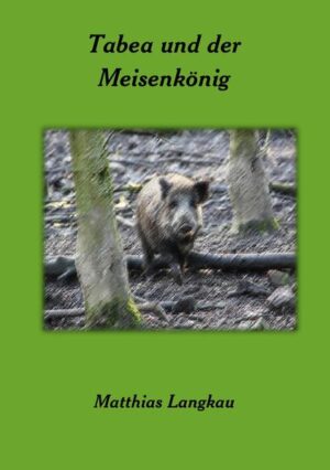 Tabea und der Meisenkönig - Eigentlich wollten die Wildschweinchen nur ein wenig toben und spielen. Immer tiefer gerieten sie in den Wald und treffen dort auf etwas sehr geheimnisvolles ... Ist es nur ein Traum, oder erleben sie das Alles in Wirklichkeit? Und wieder eine spannendes Abenteuer aus dem Reich der Tiere, eingefangen und festgehalten von Matthias Langkau.