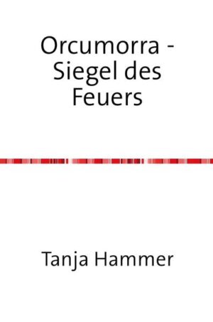 Was haben ein Wesen aus Feuer, zwei Männer und ein Hassenichgesehn gemeinsam? Sie alle leben in Orcumorra und sie alle blicken einer düsteren Bedrohung aus längst vergangenen Zeiten entgegen, deren Zerstörung in den Händen des lebenden Feuers liegt. Einhundert Jahre sind vergangen und wieder einmal steht die Erneuerung des Siegels des Feuers bevor. Doch die Feuerstochter, deren Aufgabe es seit Jahrtausenden ist, dem Siegel neue Kraft zu geben, ist dieses eine Mal zu spät. So folgt das Unausweichliche: Nodrogg, das Urböse, kommt frei aus seinem von dem Siegel gesicherten Gefängnis und nicht nur Orcumorra soll es sein, das seinen finsteren Machenschaften unterliegen soll. Nein, auch die anderen drei Dimensionen sind es, welche es begehrt und für die Feuerstochter heißt es nun, dem schwarzen Wesen aus reinster Bosheit die Stirn zu bieten und die Welten vor dem Untergang zu bewahren.