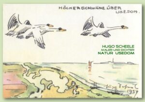 Hugo Scheele Natur Usedom | Bundesamt für magische Wesen