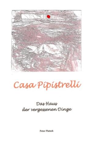 Ein vergessenes Versprechen ist für Kinder genau so schlimm wie eine Lüge. Deshalb müssen sie immer wieder richten, was die Erwachsenen vermasselt haben. So auch Julia, Peter und Niko, die sich auf ihrem Weg zum Feriencamp, nicht ganz zufällig, zu dem verwilderten Park mit der alten Villa verlaufen. In der Düsternis des Dachbodens von Casa Pipistrelli gleiten sie hinein in die Geschichten und finden schnell heraus, dass sie ein Teil davon sind. Ein geheimnisvolles Buch, ein grüner Jadestein, vier Gaukler die von zu Hause weggelaufen sind und ein Sonderling der mit seinen Bäumen spricht, führen die drei in eine Welt in der sich das Unheimliche mit dem Wahrscheinlichen kaum trennbar vermischt, Über allem hängt der Fluch der alten Krähe, der Casa Pipistrelli wie ein klebriges Spinnennetz überzieht.