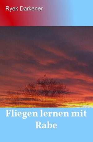 Nach dem Tod seiner Frau ist Hans das Leben nicht mehr lebenswert. Der Versuch, es mit einem Sprung von einem Aussichtsturm zu beenden, wird durch eine ungewöhnliche Intervention vereitelt: Ein Rabe fliegt in ihn hinein, und Hans findet sich auf dem Boden der Aussichtsplattform wieder. Der Vogel verletzt sich dabei anscheinend. Hans fühlt sich dem Tier auf eine seltsame Weise verbunden. Er will keine Opfer seines Tuns zurücklassen und beschließt, den Vogel gesund zu pflegen. Sein Chef drängt ihn zu einer Tätigkeit, die leichter und stressfrei sein soll, damit Hans sich erholen kann. Hans willigt ein und macht sich auf die Reise in den Norden, nach Wilhelmshaven. Dort angekommen wird ihm klar, dass mehr benötigt wird als jemand, der den Papierkram erledigt. Es kommt wegen des Vogels zu einem heftigen Konflikt mit Claudia, der Schwester seines dortigen Vorgesetzten, Martin Schleicher. Claudia unterstellt Hans, er halte das Tier gefangen.