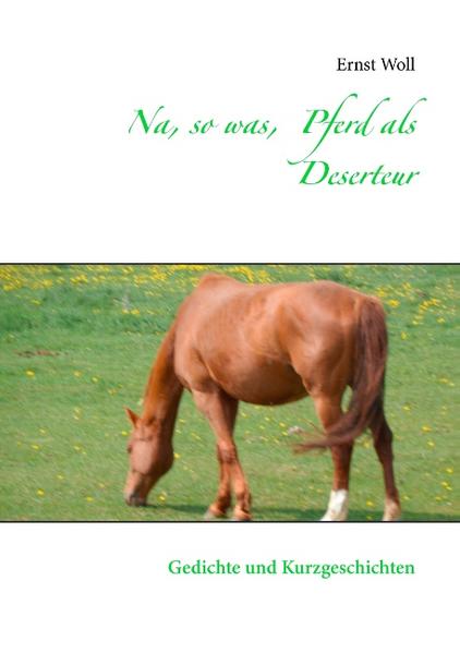 Na, so was, Pferd als Deserteur | Bundesamt für magische Wesen