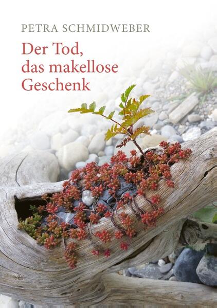 Die Gedanken meiner spirituellen Forschungsarbeit beeinflussen das Ergebnis meiner Wahrheit, in den Gesetzen des Universums manifestiert sich ein Geist. Mein Geist, mein Glauben, meine Wahrheit, mein Gottesbewusstsein. Bevor der Tod eintritt, muss das Leben verstanden werden. In meinem Buch wird der Leser hineingeführt in meine Freiheit des ewigen Lebens.