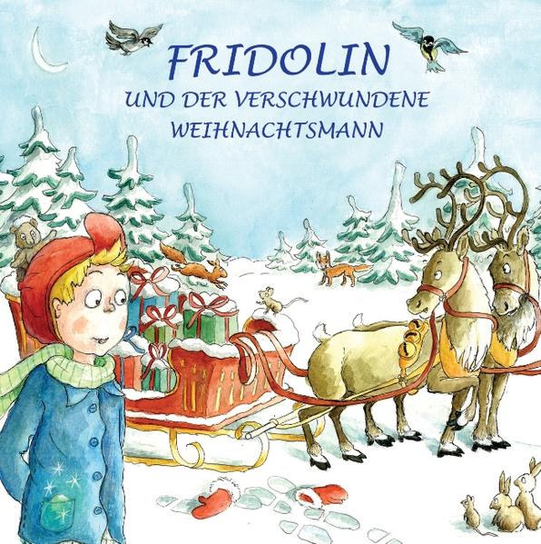 Fridolin war eigentlich ein ganz normaler Junge, der sich wie viele andere Kinder auf das Weihnachtsfest freut. Was er nicht ahnen konnte war, dass er diesen Tag nicht so schnell vergessen würde. Denn er erlebt das Abenteuer seines Lebens. Nach der seltsamen Begegnung eines Zwerges Namens Mock weiß Fridolin, dass der Weihnachtsmann gefangen gehalten wird. Mock, der Zwerg, braucht aber die Hilfe von Fridolin, um den Weihnachtsmann zu befreien. Doch dazu muss er erst in die Burg des bösen Zauberers Tunichtgut gelangen. Dort erwarten Fridolin gemeine Fallen, denen er entkommen muss. Doch wird Fridolin dies gelingen?