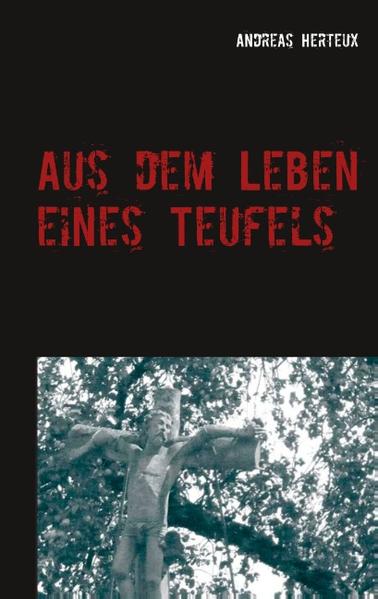 Ein Teufel hat es nicht leicht, denn auch die Hölle kennt soziale Auf- und Abstiege. Ein Weg, dem Elend zu entkommen, ist es, sich der satanischen Unterhaltungsbranche zu verschreiben, mit deren Hilfe die Wesen der unheimlichen Sphären mit Geschichten aus der Menschenwelt erfreut werden. Zu diesem Zweck dürfen geeignete Kreaturen in die Welt der Menschen heraufsteigen, um dort "Beiträge" zur Zerstreuung der Höllenbewohner zu generieren. Dass dieses nicht immer zur Erheiterung der Menschheit geschieht, dürfte sich von selbst verstehen, spielt aber keine Rolle, denn jene soll ja auch nur bedingt dadurch erheitert werden. Unser bislang namenloser Beelzebub ist jedoch noch ein blutiger Anfänger. Für eine bestimmte Probezeit in die Menschenwelt entsendet, stellt er sich nun zitternd der Prüfung seiner Ergebnisse. War es eine gute Idee, die Spielregeln so zu ändern, dass ein einfacher Mensch plötzlich die Zeit anhalten konnte? War es richtig, Materie zu beleben? Einen Schneemann frieren zu lassen? Sterne vom Himmel zu holen? Jemanden durch die Hölle zu jagen? Ja, der Höllenbewohner hat so manches Chaos erzeugt, doch findet es Gefallen? In wenigen Minuten wird sich das große Tor öffnen und die Prüfung, die sein Schicksal entscheidet, kann beginnen.