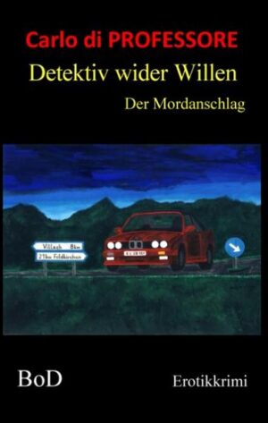 Der 28-jährige Pascal Arnstein ist Inhaber des Architekturbüros Arnstein&Partner. Auf dem Klassentreffen trifft er nach zehn Jahren seine Jugendliebe Alexandra wieder. Während Alexandra eine gescheiterte Ehe, aus der ihre beiden Kinder Michaela und René entstammen, hinter sich gebracht hat, war Pascal nach seinem Architekturstudium beruflich sehr erfolgreich. Vor allem nach dem tragischen Tod seiner größten Liebe vor eineinhalb Jahren versuchte er seinen Schmerz in Arbeit zu ertränken, was ihm einen geschäftlichen Höhenflug bescherte. So blicken Alexandra wie auch Pascal seit geraumer Zeit auf eine in puncto Liebesleben entbehrungsreiche Zeit zurück und ihre Liebe zueinander entflammte trotz der langen Trennung von Neuem. Pascal ist sofort bereit seiner Liebsten in ihrer finanziell sehr angespannten Situation zur Seite zu stehen und ihr alle Probleme aus dem Weg zu räumen. Dazu gehört aber auch, dass er sich um die Sorgen ihrer 19-jährigen besten Freundin Nicole kümmern soll, die nach dem Tode ihres Vaters völlig mittellos dasteht. Daher ist es nur zu verständlich, dass sich das junge Mädchen in den Mann, der ihr so liebevoll Aufmerksamkeit schenkt, bis über beide Ohren verliebt. Langsam entspinnt sich zwischen den Dreien eine zärtliche Dreiecksbeziehung, bei der Pascal die Aufgabe zufällt dafür zu sorgen, dass keinerlei Gefühle verletzt werden. Geschickt stellt er beide Frauen zufrieden und verhindert Eifersucht unter den Freundinnen. So schwebt Pascal rasch auch in Sachen Liebe auf Wolke 7. Durch dieses Glücksgefühl angespornt wird er aber übermütig und legt sich weitere Sexpartnerinnen zu. Auch zwischen der 18-jährigen Andrea, der Freundin seines Mitarbeiters David, und Pascal entwickeln sich erotische Spannungen, wobei er die sexuelle Unerfahrenheit des Mädchens schamlos ausnützt. Selbst beim zufälligen Zusammentreffen mit der Reisebüroangestellten Anja ergreift Pascal sofort die Gelegenheit, um wild mit dem Fräulein zu flirten. Er kann es sich leisten, spendabel zu sein und hat eine besondere Begierde für hübsche Frauen. Und Frauen für ihn. Er scheint sie magisch anzuziehen. Darüber hinaus jedoch bleibt Pascal der hilfsbereite Mensch, der sich weiterhin um die bestmögliche medizinische Betreuung seines Bruders Daniel kümmert. Trotz spärlicher Freizeit lässt er nicht einen einzigen Besuchstermin bei Daniel im Pflegeheim Sonnental aus. Aber auch der Witwe seines verstorbenen Schulkameraden steht Pascal sofort helfend zur Seite.