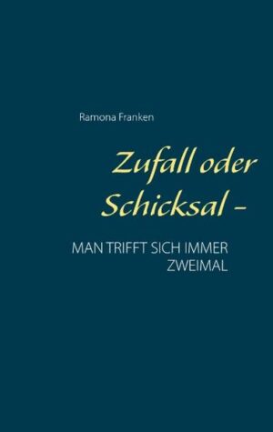 Zufall oder Schicksal bestimmen unser Leben, und wie oft dachten wir schon, man trifft sich immer zweimal. Mona, eine starke Frau mit ganz normalen menschlichen Schwächen, beginnt eine Gratwanderung zwischen Familie und dem Einfluss einer Sekte, die ihr Erfolg, Macht und Liebe verspricht. Sie erlebt Euphorie und Zerstörung, sieht ihre Freunde, die sich beruflich von ihr verabschieden und wird selber gezwungen, sich zu entscheiden. So wie jeder von uns täglich Entscheidungen trifft. Mona wählt die Familie und entzieht sich der Sekte. Doch das Leben spielt nach seinen eigenen Regeln, und so trifft man sich zweimal.