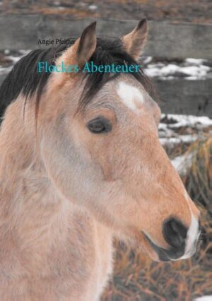 Flocke ist ein verträumtes kleines Pony. Sie lebt zusammen mit ihrer Herde auf dem Hof von Bauer Robert. Eines Tages geschieht ein großes Unglück: Der Ponystall stürzt ein und Bauer Robert kann ihn nicht reparieren. So macht sich Flocke ganz allein auf den Weg, um die Heinzelmännchen zu suchen und sie zu bitten, den Stall wieder aufzubauen. Dabei erlebt sie eine Menge aufregender Abenteuer. Doch damit nicht genug: Kaum ist der Ponystall fertig, geht Flocke erneut auf eine große Reise. Dieses Mal sucht sie das geheimnisvolle Land über dem Regenbogen.