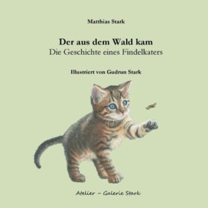 Vier kleine Kätzchen, ausgesetzt im Wald, allein. Gefunden werden sie von der Kunstmalerin Gudrun Stark und ihrem Mann, dem Autor Matthias Stark. Eines der Katzenkinder wird sie nach Hause begleiten. Welche Abenteuer Mensch und Tier auf dem Weg zum erwachsenen Stubentiger erleben, wurde in Wort und Bild festgehalten. Mit einfühlsamen Zeichnungen und kurzweiligen Texten beschreiben die beiden das erste Jahr im Leben ihres Findelkaters.