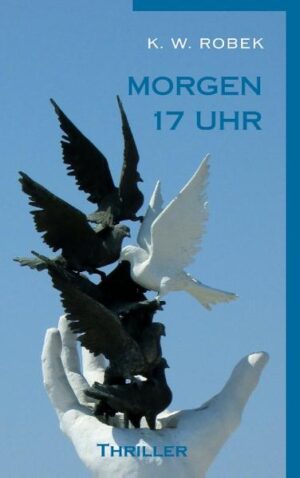 Seit über zwanzig Jahren ist Alex auf der Suche nach den Mördern seiner Eltern, die im georgischen Bürgerkrieg von russischen Freischärlern erschossen wurden. Er schließt sich deswegen damals tschetschenischen Separatisten an, welche jetzt einen Anschlag auf das Bolschoi Theater in Moskau planen. Auf seiner Suche lernt Alex Bianca kennen, die in den Mord an ihrem eigenen Schwager verwickelt ist. Im Laufe der Zeit verdichten sich die Anzeichen, dass Alex den Mörder seiner Eltern in Biancas Ehemann Christoph gefunden hat. Er beschließt daraufhin, ihm erst die Frau und das Vermögen zu nehmen. Dann lässt er zum Tag des geplanten Anschlags die beiden in einer Tombola eine Reise nach Moskau inklusive Theaterbesuch gewinnen. Christoph fliegt zwar mit nach Moskau, geht jedoch dann nicht ins Theater. Aber es gibt einen Plan B. Morgen 17 Uhr.