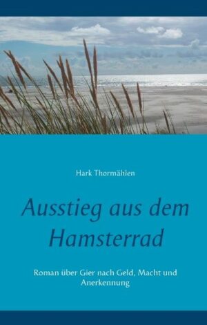 Wer kennt sie nicht? Die Gier nach Macht und Geld, aber auch nach Anerkennung, treibt uns an. Nicht nur in Hedgefonds und Großkonzernen ist sie angesiedelt, sondern auch in uns selbst. Selbst in kleinen Firmen begegnet sie uns. Wer kennt es nicht? Das Streben nach Perfektion und dem ersten Platz zählt, was uns in Schule, Studium und Sport vorgelebt wird. Im Beruf wird die Perfektion oft praktischen Zwängen geopfert. Hauptperson Peter ist Angestellter und strebt in erster Linie nach Anerkennung. Nach dem Studium findet er seinen ersten Job in der Vorausentwicklung eines großen Konzerns für neuartige Multimediageräte. Er will sich beweisen. Die Stimmung in der Entwicklung neuer Multimediasysteme ist getragen durch die Internetblase an den Börsen. Bald wird er als Projektleiter mit der Entwicklung eines neuen Systems betraut, welches zur Weltausstellung in Betrieb gehen soll. Sein Arbeitseinsatz und der Termindruck sind hoch. Alles scheint in der Erfolgsspur zu fahren. Jupp ist Geschäftsführer und strebt nach Macht. Ihm fällt es leicht Menschen und deren Geld für seine Vorhaben zu gewinnen. Er agiert bei einem Zulieferer von Peters Arbeitgeber. Jupp spielt die Stimmung an den Börsen in die Hand. Das Geld der Investoren sitzt locker. Die Ereignisse führen dazu, dass sich die Wege von Peter und Jupp kreuzen. Gelingt es ihnen, sich von ihrer Gier zu befreien? Welche Konstellationen und Erlebnisse bringt diese Gier hervor? Welche Menschen und Charaktere begegnen Peter auf seinem Weg? Führt berufliches Engagement ins Hamsterrad? Gelingt Peter der Ausstieg?