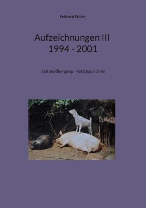 Ein langer Kommentar zu den neunziger Jahren des letzten Jahrhunderts, während der der Autor hektisch die Welt bereiste, und dabei Gefahr lief sich selbst zu verlieren. Er war Teil der sich beschleunigenden Globalisierung, und wurde zum Beobachter, wie sich Amerika von sich selbst entfremdete, und den Grundstock legte für die populistischen Exzesse zwanzig Jahre später. Wie sich China aufmachte zu einem 'langen Marsch', die Welt zu beherrschen, zumindest eine ökonomische Vormachtstellung zu erlangen, die keinem anderen Land, einschließlich Amerika, es ermöglichen sollte es zu ignorieren.