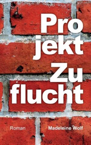 Eine Stadt erlässt neue Gesetze gegen die Wohnungsnot. Eine traumatisierte Frau wird aus ihrem Rückzugsort vertrieben. Ein ehrgeiziger Einzelgänger will beweisen, wie er die Welt rettet. Flüchtlinge sehnen sich nach einem normalen Leben. Zuflucht wünschen sich alle, auf die ein oder andere Art. Maja Sneider, fünfunddreißig jährige Schulsekretärin mit ausgeprägter Sozialphobie und mangelndem Einfühlvermögen, lebt nach einem Unfall sehr zurückgezogen. Als sie innerhalb kurzer Zeit ihre Wohnung verliert, ein großes leerstehendes Haus erbt und durch ein neues Gesetz der Kölner Stadtverwaltung gezwungen wird, Flüchtlinge in diesem Haus unterzubringen, muss sie sich ihren Ängsten stellen. Anne Simons, beste Freundin Majas, Architektin mit Leidenschaft für die Sechziger Jahre, bemuttert Maja gern und sorgt dafür, dass sie sich nicht komplett von der Welt absondert. Rafael Muller, links eingestellter Sozialarbeiter bei der Migrationsberatung, soll Maja bei der Renovierung der Flüchtlingswohnungen unterstützen. Ihr Wohnhaus scheint ihm perfekt geeignet für ein ehrgeiziges Selbstbauprojekt mit Geflüchteten. Rücksicht auf Beteiligte ist da nicht vorgesehen.