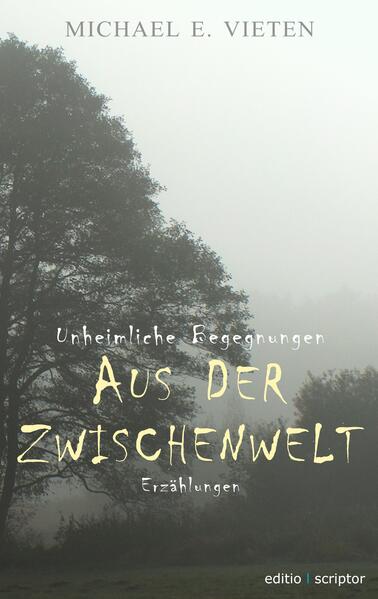 "Was zwischen Himmel und Erde bisweilen geschieht, ist seltsamer als wir uns vorstellen können." Nachdem Theresa verstorben ist, verliert Josef seinen Lebensmut. Dunkle Tage der Trauer reihen sich aneinander. Doch dann erscheint sie ihm eines Abends auf ihrem alten Sessel in der Stube. Trotz seiner Furcht vor dem Unerklärlichen überwiegt die Freude über das unverhoffte Wiedersehen. Bald trifft er auf Menschen, die sich ihm anvertrauen und von unheimlichen Ereignissen berichten. Hat Theresa etwas damit zu tun? Kennt sie all diese armen Seelen aus der Zwischenwelt, und führt sie die Menschen, die ihnen begegnet sind, zu ihm? 10 Erzählungen von Menschen aus dem Diesseits mit Begegnungen aus dem Jenseits.