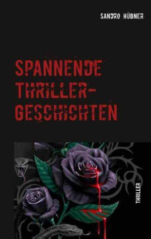 Spannende Thriller-Geschichten | Sandro Hübner