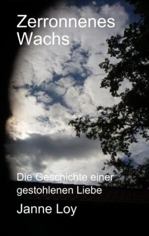 Nach dem jähen Ende ihrer Affäre mit dem wesentlich jüngeren Studenten Jo-Niklas verbringt Linda mehrere Wochen in der Psychiatrie. Jo ist auf einmal verschollen, und Linda kann sich an nichts erinnern, was sein Verschwinden erklären würde. Ihr psychischer Zustand stabilisiert sich nicht. Sie wechselt ihren Wohnsitz, zieht sich von allem zurück und meidet ab jetzt die Öffentlichkeit. Stattdessen bastelt sie fortwährend an ihren Aufzeichnungen, in denen sie ihre Liebesgeschichte mit Jo verarbeitet. Nicht einmal ein Vierteljahrhundert später will es ihr gelingen, das Manuskript zu Ende zu schreiben, anscheinend, weil ihr ein wichtiger Baustein in ihrer Erinnerung fehlt. Ungeahnt, auf ebenso undurchdringliche Weise, wie er damals verschwunden ist, erscheint Jo wieder. Zwar wird er für Linda zu einem guten Freund, doch er will oder kann kein Licht ins Dunkel bringen. Aber dann trifft Linda, völlig unvorbereitet, eine Dame mit einem fragwürdigen Anliegen und die Lötstellen, die ihr Leben noch irgendwie zusammengehalten hatten, brechen nun vollständig auseinander.