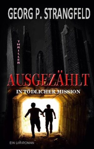 Dubai: Der Versuch die deutsche Bundeskanzlerin vor der Entführung islamistischer Radikaler zu beschützen, zwingt das Team der Personenschützer in einen Straßenkampf mit mehreren Toten und einer Verfolgungsjagd durch die City von Dubai. Von der Polizei verhaftet, verschwinden sie an einen unbekannten Ort. Auslandsermittler Klaus Ritter soll die Suche aufnehmen und gerät dabei in ein tödliches Karussell aus Intrigen, Korruption und Mordgier. Doch ihm bleibt nicht viel Zeit ...., die Entführer fordern Vergeltung für die eigenen Opfer. Ihren Tod.