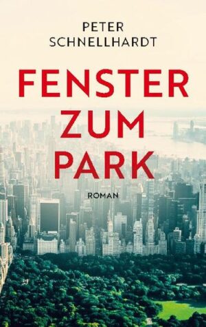 Es geht um Liebe, Träume und die Zerbrechlichkeit des Glücks vor dem Hintergrund zweier historischer Ereignisse, 9/11 in New York und den Mauerfall in Berlin. Henrik Heller, ein aus Deutschland stammender New Yorker Journalist, hat auf tragische Weise seine Partnerin verloren und versucht, als Großstadteremit diese Lebenskrise und noch ein anderes Trauma zu überwinden. Dabei schreibt er ein Buch, in dem er erzählt, wie alles gekommen ist. Vom Glück der Freiheit, ihren Gefahren und ihrer Gefährdung.