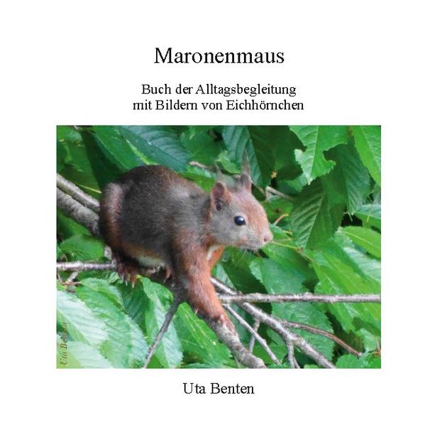 Grundlage des vorliegenden Buches sind Fotografien der Uta Benten umgebenden Natur. Durch die Aufnahmen und die Beobachtung ausgewählter Maronenmaus-Persönlichkeiten (Eichhörnchen auf japanisch "Risu", d.h. "Maronenmaus") entdeckte sie Eigenschaften des Tieres und verglich diese mit dem Alltagsleben der Menschen. Die aufgezählten Szenen verknüpfte sie mit Texten und Bildern, so dass man spielerisch und zwanglos das Buch zur Alltagsbegleitung nutzen kann.