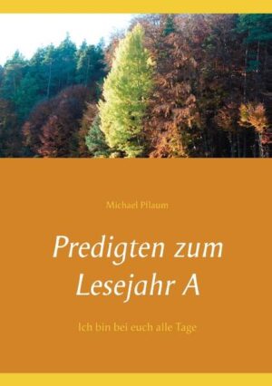 Die Predigten in diesem Band widmen sich ganz verschiedenen Themen: Spirituelles, Lebensalltägliches, biblische Themen (wie z. B. Zugänge zum historischen Jesus, Einführung ins Matthäusevangelium), Themen der katholischen Soziallehre und gesellschaftspolitische Fragen. Ebenso Predigten zu grundsätzlich dogmatischen Themen (wie z. B. Christologie, Erbsünde) und zu Themen des II. Vatikanischen Konzils. Gedanken großer Theologen wie Karl Rahner oder Jon Sobrino werden genauso aufgegriffen wie berühmte Erzählungen wie Ronja Räubertochter oder Goethes Faust. Dabei ist dem Autor wichtig, verständlich, anschaulich mit lebensnahen Bezügen die Themen darzulegen.