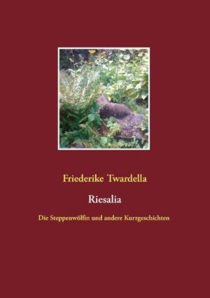 „Danke, Leben, dass du mich nicht stillstehen lässt, dass du mich weiterziehst in ungewisses Neuland, auch wenn ich noch so sehr an alten Gewohnheiten festhalten wollte. Danke, Welt, dass du da bist, mit all deinen Wundern und Geschenken, mit deinen Gefahren und Aufgaben, mit all dem Unbekannten, das ich kennenlernen darf, wenn ich nur mutig genug bin.“ Dies sind Worte von RIESALIA, einer 74-jährigen Frau, die in diesen bunten, erlebnisreichen Geschichten zeigt, dass Alter keineswegs ein festgefahrenes, freudloses Gefängnis sein muss. Mit Humor und Tiefsinn meistert sie viele Höhen und Tiefen. So ist sie mal Sheriff im wilden Westen, mal Clownin im Zirkus, Schaffnerin in der Bahn, Fremdenführerin in den Katakomben von Rom, sportliche Seniorin u.v.m. Es macht Spaß, mit dieser 74-jährigen Frau die Welt zu entdecken, gemeinsam mit ihr immer wieder in eine andere Haut zu schlüpfen, zu erleben, dass sie vor nichts zurückschreckt und aus dieser Kraft zu schöpfen, die immer wieder in ihren Gedanken lebt. Dass ihr hohes Alter sie nicht in Einsamkeit gefangen hält - das will uns zeigen, wie viel mehr wir alle im Leben wahr machen können, auch wenn wir uns manchmal nur von Mauern des „Das ist alles unmöglich“ umgeben fühlen. Die zentrale Figur RIESALIA teilt all ihre Gedanken mit uns, ihre Liebe zum Leben und ihre Kraft. Ein zusätzlicher Trumpf, den sie dabei in der Hand hält, ist die Kraft der Freundschaft, ein zentrales Thema von RIESALIA. Freundschaft kann Mauern niederreißen, auch die zwischen Alt und Jung. Auch davon handelt dieses Buch, das zugleich Dank ist für eine langjährige Freundschaft.