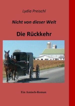 Markus Troyer, amisch von Geburt, hat außerhalb seiner Gemeinschaft Karriere gemacht. Von einem Stalker bedroht, sucht er Zuflucht in seiner alten Heimat. Dort begegnet er Lena, einer jungen Deutschen, die ihr ganz eigenes Problem mit nach Pennsylvania County gebracht hat. Markus unterstützt sie bei ihrer Suche nach Verwandten, die sie unter den Amisch vermutet. Die beiden kommen sich näher. Aber dann holt ihn seine Vergangenheit wieder ein. Ruland Becker, der gefährliche Stalker, hat ihn aufgespürt. Wie werden seine amischen Nachbarn, die ihm ablehnend gegenüber stehen, reagieren?