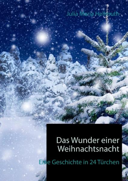 Eine Weihnachtsgeschichte für Erwachsene in 24 Türchen…. …zum Lachen, …zum Weinen, …zum Mitfiebern, …zum Nachdenken oder einfach als kleiner Vorgeschmack auf Weihnachten, um die Zeit des Wartens nicht zu lang werden zu lassen. Eigentlich hasste er diesen Job als Paketbote: Tagaus, tagein in dieser Einöde herumfahren, in der sich Fuchs und Hase Gute Nacht sagen. Doch Weihnachten steht vor der Tür und er kann ein bisschen Geld gut gebrauchen. Er ahnt nicht, dass in dieser Nacht alles anders und er Teil eines skurrilen Abenteuers werden soll, in dem es um Leben und Tod geht.