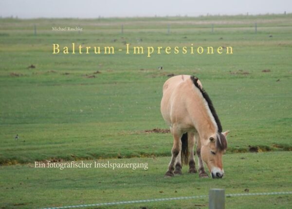 Entschleunigen, am Wochenende auf Baltrum. Lohnt sich das? Der Autor meint ja und versucht einen fotografischen, rein subjektiven, Überblick über die Insel Baltrum zu geben. Die Insel wurde zu Fuß bereist und führte durch das West- und Ostdorf. Schöne Landschaften, Skurrilitäten der Insel und natürlich Pferde, Pferde, Pferde wurden fotografisch festgehalten, garniert mit einigen Insider-Tipps.