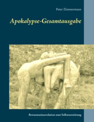 Der Roman passt genau in den Zeitgeist, da er versucht, existenzielle Fragen in einem Europa des Umbruchs zu stellen. Acht suizidgefährdete Menschen begegnen einander und fragen sich, ob ihre Lebensüberdrüssigkeit „nur“ das Symptom einer kranken Gesellschaft ist. Es geht um die Erkenntnis von Wertschätzung, Respekt und Vergebung. Letztlich stellt sich die Frage: Was haben Angst, Einsamkeit, Verzweiflung, Wut, Enttäuschung, Begehren und suizidale Gedankenmuster der handelnden Figuren mit einer äußeren Realität, mit Krieg, mit Hunger, mit Ungerechtigkeit zu tun? Hat die Apokalypse bereits begonnen? Ist die Menschheit noch zu retten? Wenn ja- wie? Mehr unter www.literatur-und-therapie.at