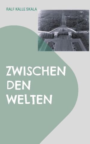 Die Handlung spielt überwiegend im geteilten Berlin der 1980 Jahre, mitten im Kalten Krieg. Anita Flugmann, eine junge Ehefrau und Mutter, war als Spionin für einen amerikanischen Geheimdienst im Osten Deutschlands im Einsatz. Sie führte ein gut bürgerliches Leben, bis sie einen entscheidenden Fehler begann. Der sowjetische Geheimdienst entdeckte den jungen Frank Stöckel, den er für seine Reihen gewann und für Einsätze im westlichen Teil Berlins formte und ausbildete. Anita und Frank kannten sich gut und kannten sich doch nicht. Beide führten ein fast normales Leben, mit Liebe und Trauer. Sie lernten die Höhen und Tiefen der Geheimdienstarbeit kennen. Obwohl sie für verschiedene Seiten tätig waren, hatten sie doch das selbe Ziel: den Weltfrieden zu sichern. Ihre Einsätze verliefen meist ohne große Zwischenfälle, bis eines Tages...